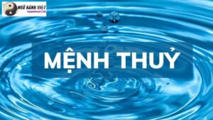 Hình ảnh minh họa Mẹ Mệnh Thủy Con Mệnh Mộc (Mẹ Mệnh Thủy Con Mệnh Mộc)