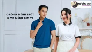 Hình ảnh minh họa Chồng Mệnh Thủy Vợ Mệnh Kim (Chồng Mệnh Thủy Vợ Mệnh Kim)