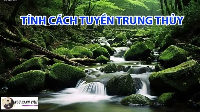 Hình ảnh minh họa Mệnh Tuyền Trung Thủy